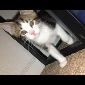 Meet your Posher, Jessica